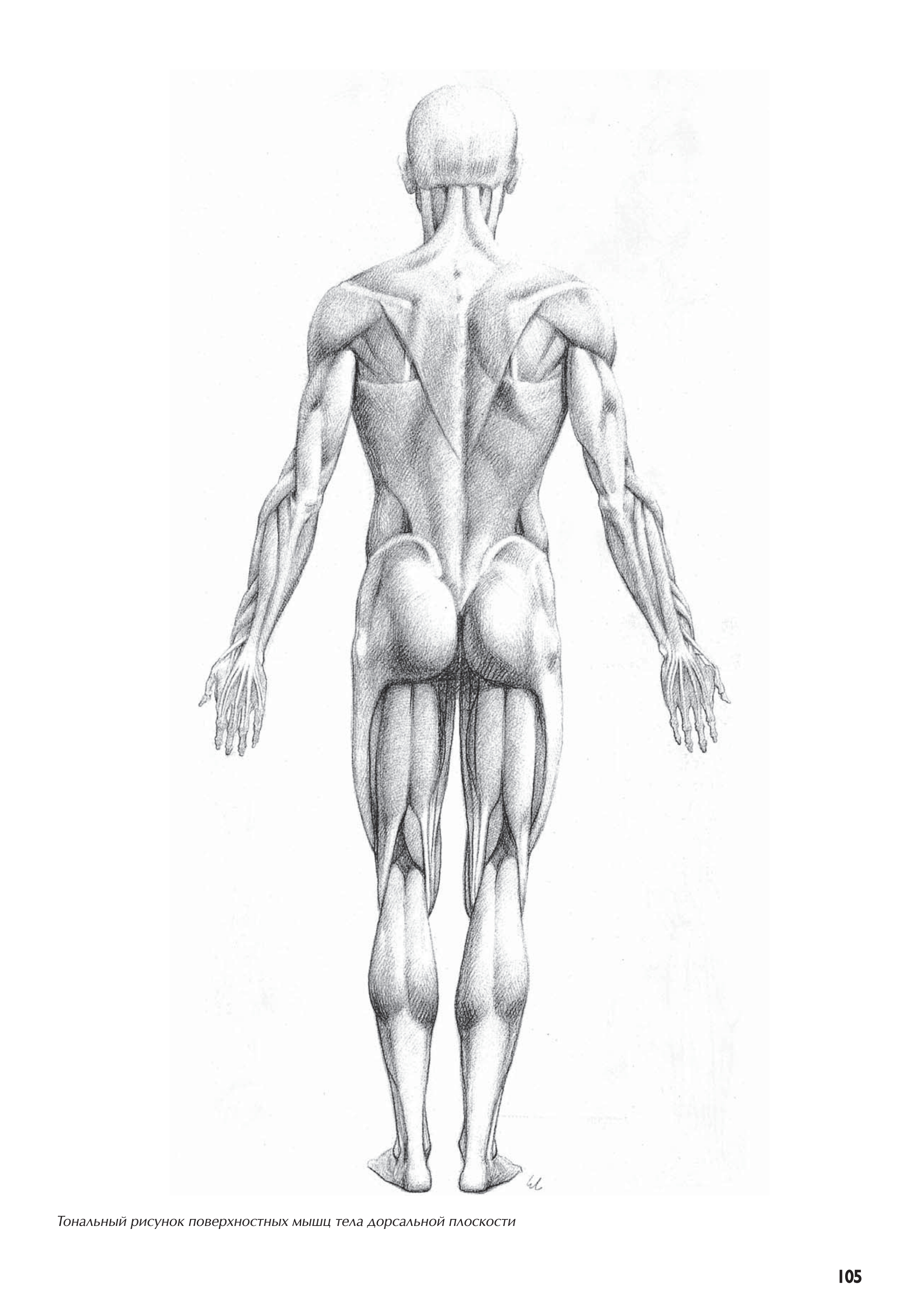 آموزش نقاشی طراحی سیاه قلم شهرری